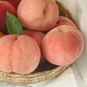 🍑Meet your Posher, Abby 🍑